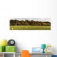 Sheep Grazing In Meadow, Northumberland, England Wall Mural