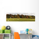 Sheep Grazing In Meadow, Northumberland, England Wall Mural