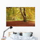 Autumn Tree, Hulne Park, Northumberland, England Wall Mural