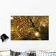 Sun Shining Through Golden Leaves On A Tree Wall Mural