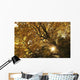 Sun Shining Through Golden Leaves On A Tree Wall Mural