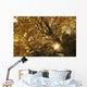 Sun Shining Through Golden Leaves On A Tree Wall Mural