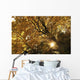 Sun Shining Through Golden Leaves On A Tree Wall Mural