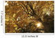 Sun Shining Through Golden Leaves On A Tree Wall Mural