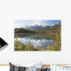 Banff National Park, Alberta, Canada Wall Mural