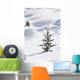 Banff National Park, Alberta, Canada Wall Mural