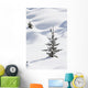 Banff National Park, Alberta, Canada Wall Mural