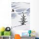 Banff National Park, Alberta, Canada Wall Mural