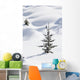 Banff National Park, Alberta, Canada Wall Mural