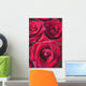 Red Roses Wall Mural