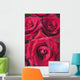Red Roses Wall Mural