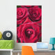 Red Roses Wall Mural