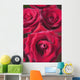 Red Roses Wall Mural