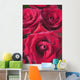 Red Roses Wall Mural