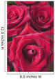 Red Roses Wall Mural