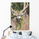 Waterton, National Park, Alberta, Canada Wall Mural