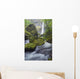 Elowah Falls, Columbia River Gorge, Oregon, Usa Wall Mural