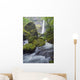 Elowah Falls, Columbia River Gorge, Oregon, Usa Wall Mural