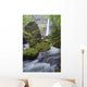 Elowah Falls, Columbia River Gorge, Oregon, Usa Wall Mural