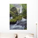 Elowah Falls, Columbia River Gorge, Oregon, Usa Wall Mural