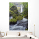 Elowah Falls, Columbia River Gorge, Oregon, Usa Wall Mural