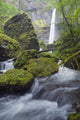 Elowah Falls, Columbia River Gorge, Oregon, Usa Wall Mural