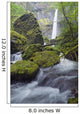 Elowah Falls, Columbia River Gorge, Oregon, Usa Wall Mural