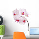 Orchid Wall Mural