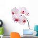 Orchid Wall Mural