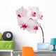 Orchid Wall Mural