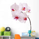 Orchid Wall Mural