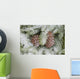 Frost On Pine Cones Wall Mural