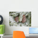 Frost On Pine Cones Wall Mural
