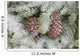 Frost On Pine Cones Wall Mural