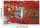 Autumn Leaves Wall Mural