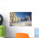 Winter Scene, Mount Hood, Oregon Cascades, Oregon, Usa Wall Mural