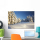 Winter Scene, Mount Hood, Oregon Cascades, Oregon, Usa Wall Mural