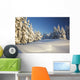 Winter Scene, Mount Hood, Oregon Cascades, Oregon, Usa Wall Mural