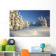 Winter Scene, Mount Hood, Oregon Cascades, Oregon, Usa Wall Mural