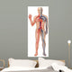 Vascular System Wall Decal