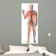Vascular System Wall Decal