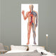 Vascular System Wall Decal