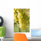 White Grapes Wall Mural