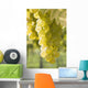 White Grapes Wall Mural