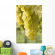 White Grapes Wall Mural