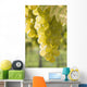 White Grapes Wall Mural