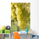 White Grapes Wall Mural