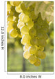White Grapes Wall Mural