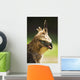 Steppe Eagle Wall Mural