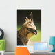 Steppe Eagle Wall Mural